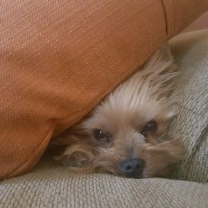 Meet your Posher, Mary